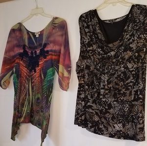 2 Ladies Tops with cami